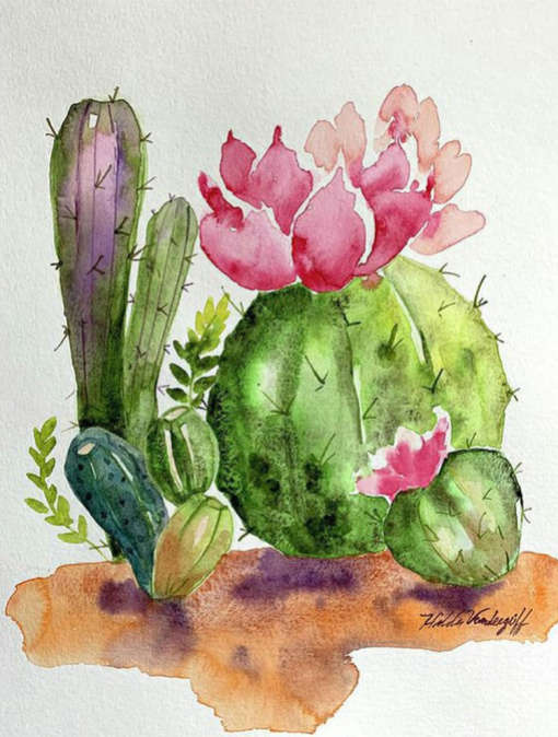 Cactus plant