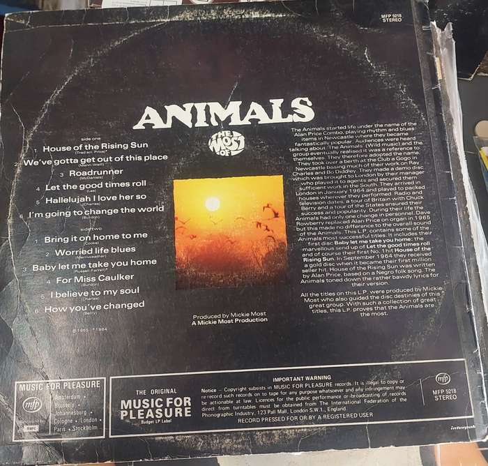 Animals (G/VG)