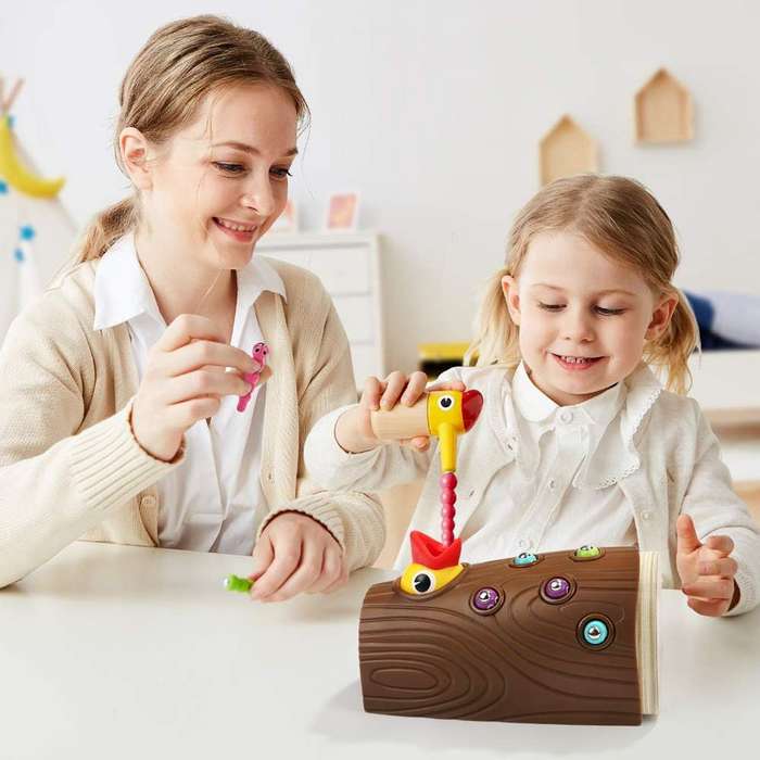 Montessori Toys 2-4 Year Old Magnetic Bird Feeding Game Learning Fine Motor