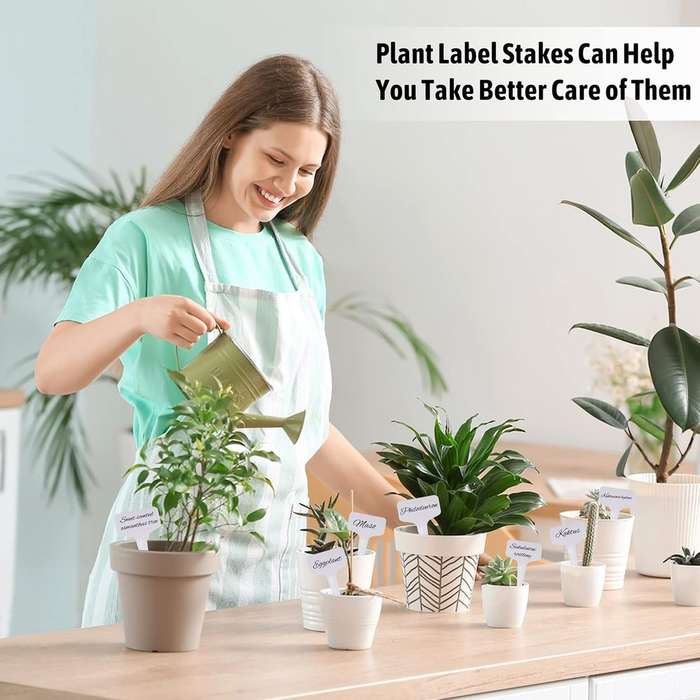 100 Piece Waterproof Plastic Plant Name Labels Garden Tags & Marker-10cm