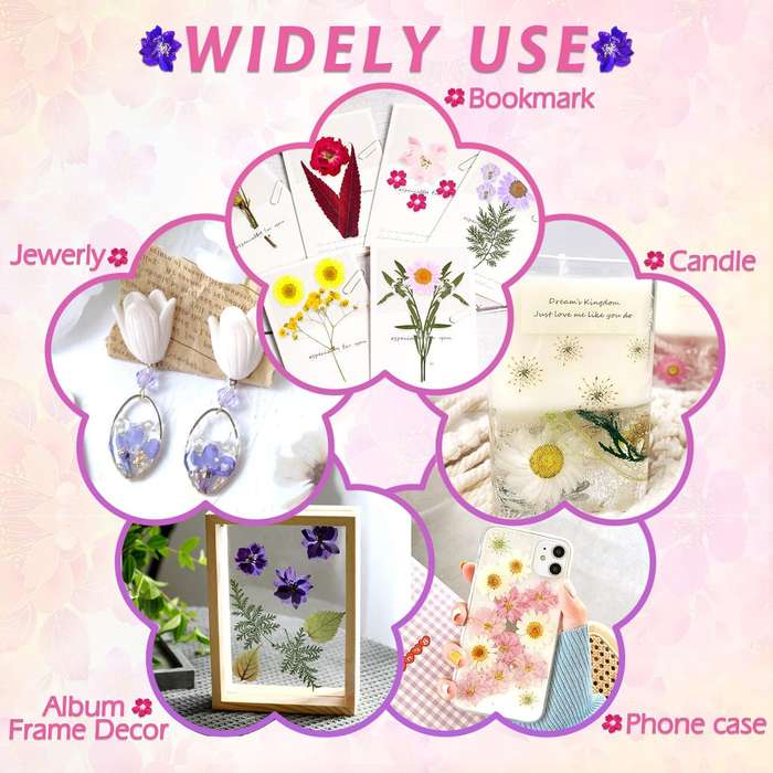 140 Pack Dried Pressed Flowers For Resin Scrapbooking Candle Soap Nail Art