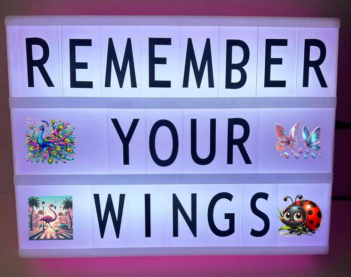 Pink Cinema LED Light Box Home Office Decor With Letters ,Emojis & Markers