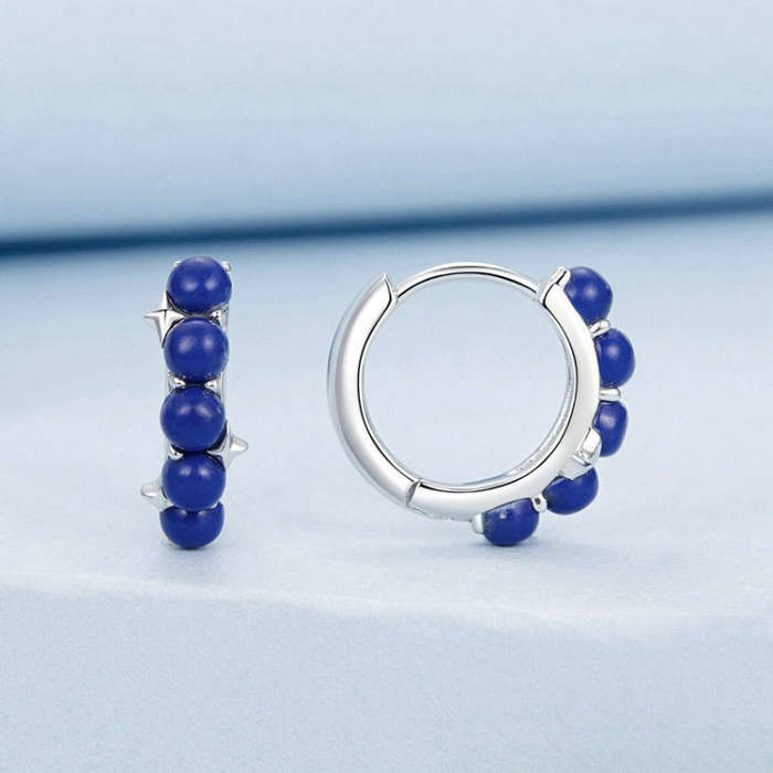 S925 Sterling Silver Platinum Plated Blue Daily Earrings(BSE984)
