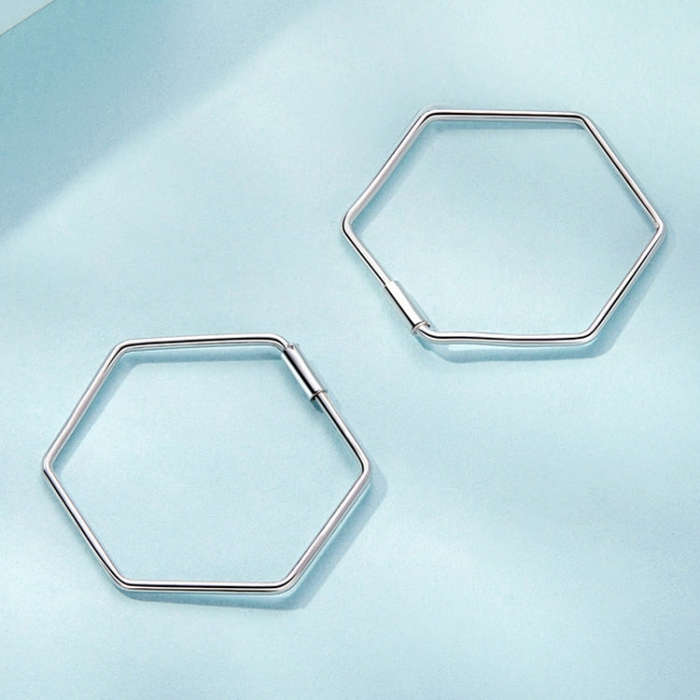 S925 Sterling Silver Zircon Hexagonal Earrings(SCE1710)