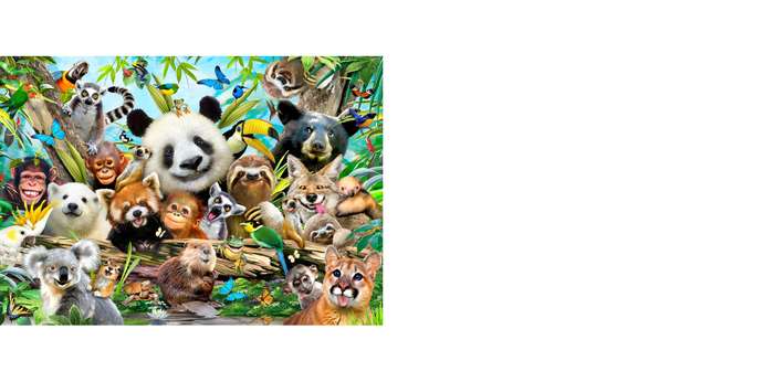 Class Photo Board Puzzle 120Pcs