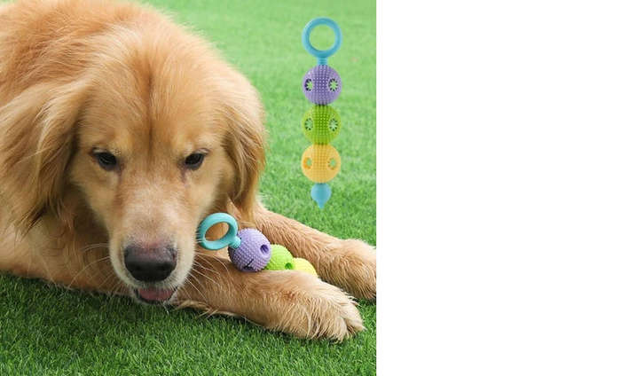 Afrishon World Doggy Smile Dental Stick Toy