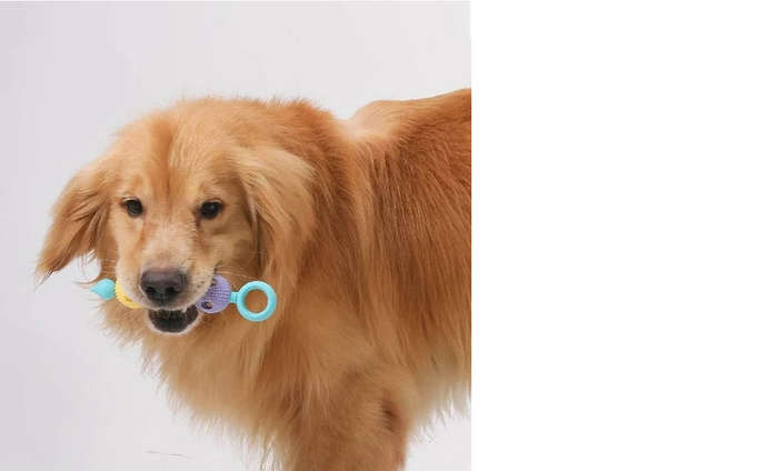 Afrishon World Doggy Smile Dental Stick Toy