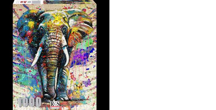 RGS Colour Burst 1000pc