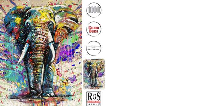 RGS Colour Burst 1000pc