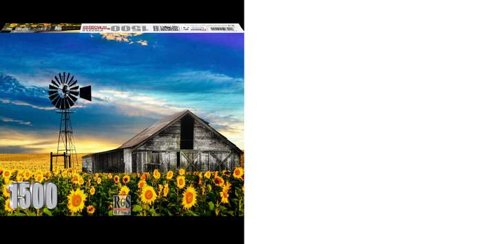 RGS Sunflowers in Clarens 1500pc