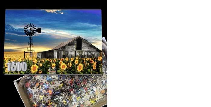 RGS Sunflowers in Clarens 1500pc