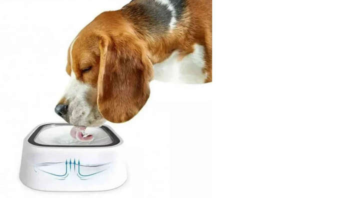 Afrishon World Splash Free Pet Water Bowl