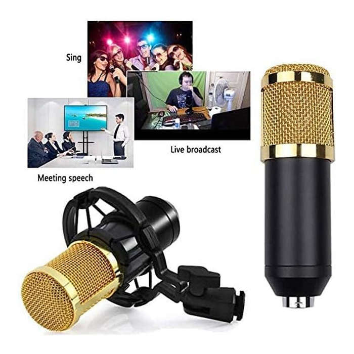 Professional Recording Condenser Microphone Q-MIC3