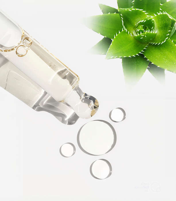 Aloe Ferox Infused Oil
