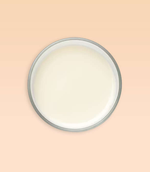 Lip Gloss Base - Opaque (RFND)