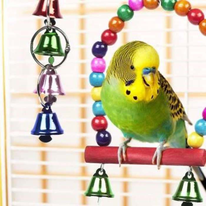Bird Toys for Cage  Parrots, Budgies, Cockatiels | South Africa