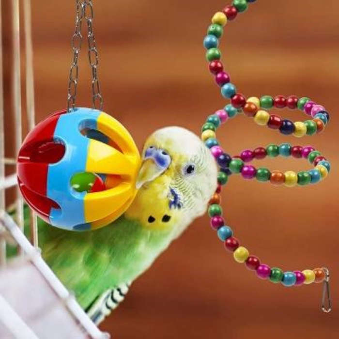 Bird Toys for Cage  Parrots, Budgies, Cockatiels | South Africa