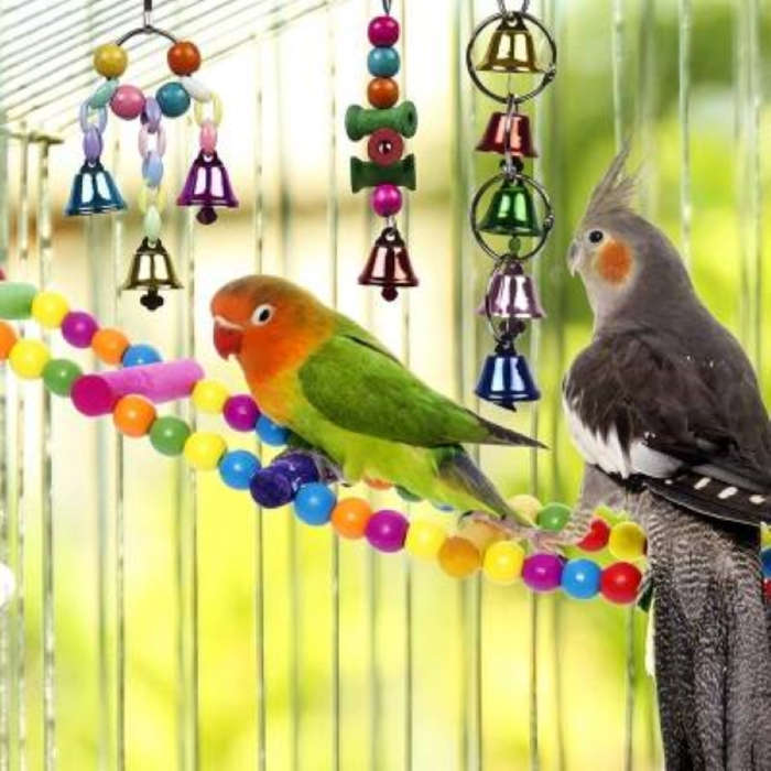 Bird Toys for Cage  Parrots, Budgies, Cockatiels | South Africa