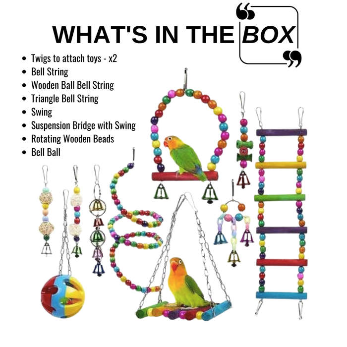 Bird Toys for Cage  Parrots, Budgies, Cockatiels | South Africa