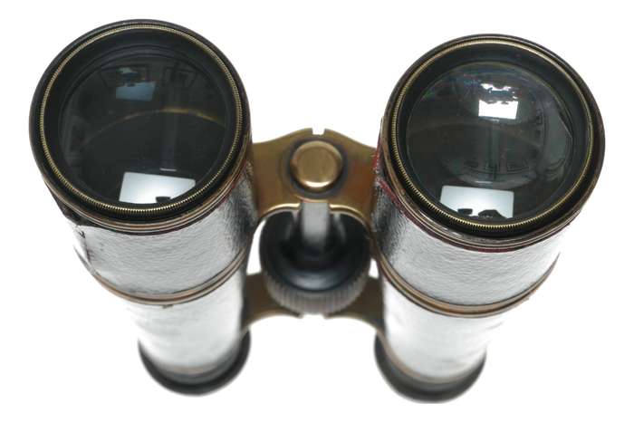Lemaire Gallic Binoculars - Antique Brass Leather Opera