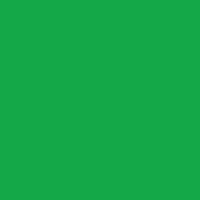 Cricut Infusible Ink Transfer Sheets Green  2 Pack, 305 x 305 mm