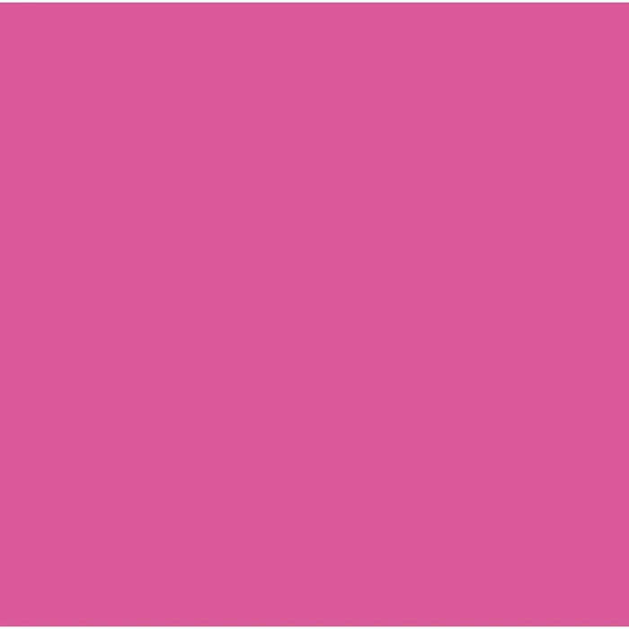 Cricut Infusible Ink Transfer Sheets Party Pink  2 Pack