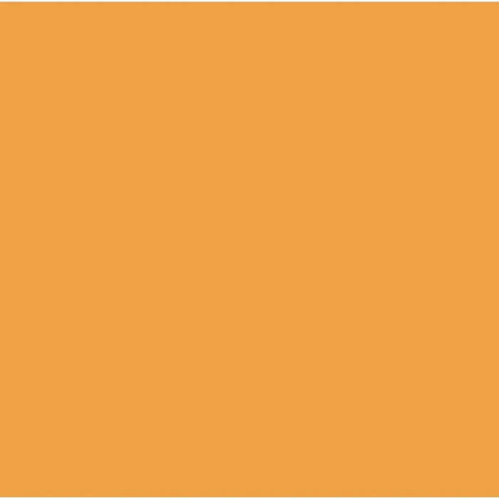 Cricut Infusible Ink Transfer Sheets Tangerine  2 Pack