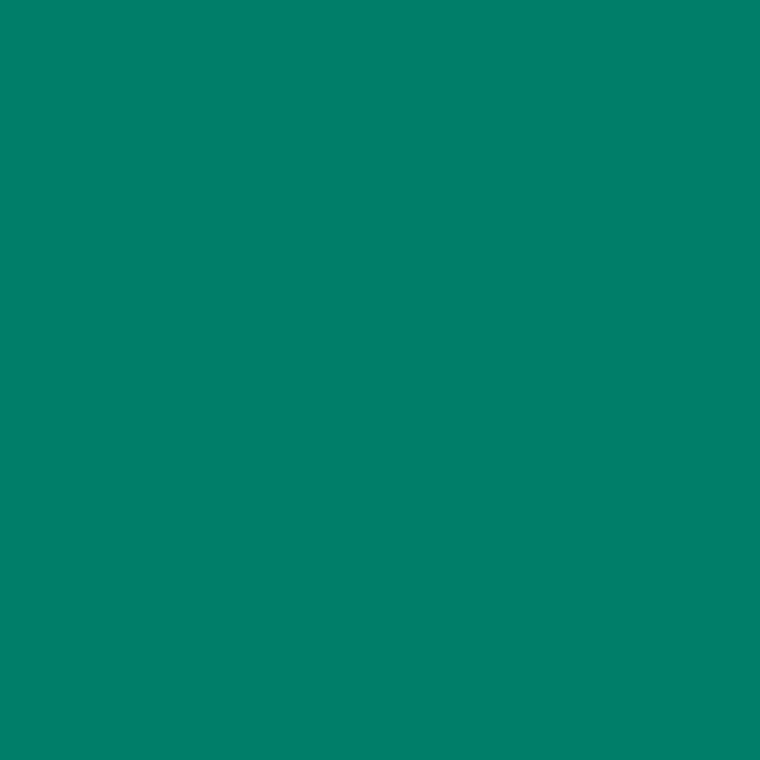 Cricut Joy Smart Vinyl Permanent Green Roll 14cm x 1.22m
