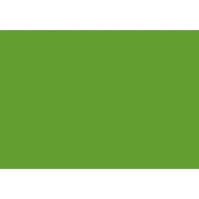 Cricut Premium Vinyl Permanent Lime Green 30.5x122cm  Glossy Roll