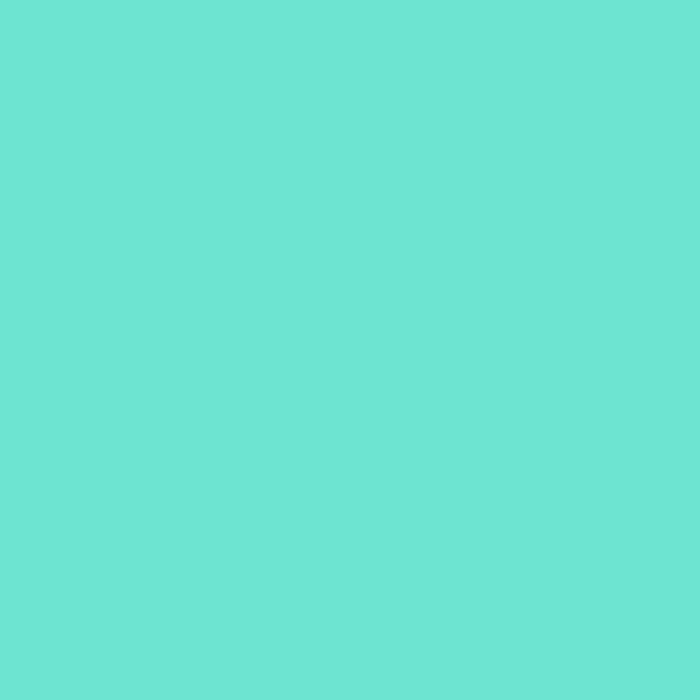 Cricut Smart Vinyl Permanent Mint Glossy Roll 33cm x 0.9m