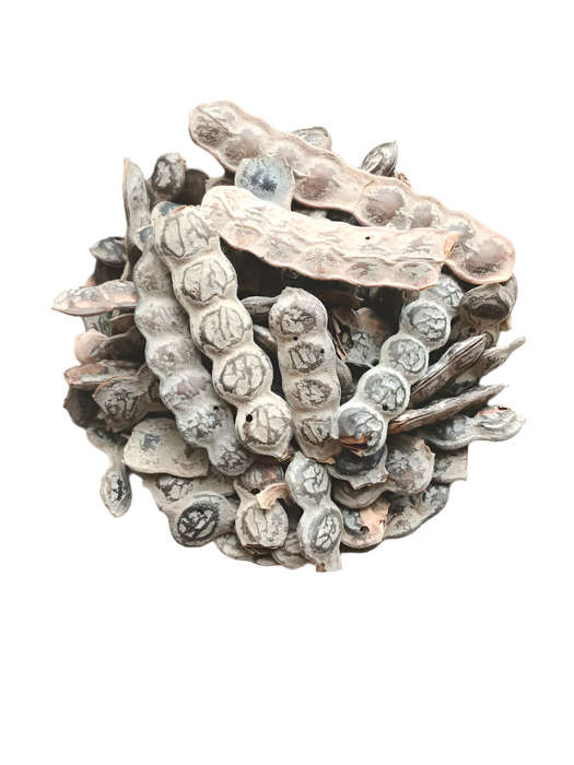 Accacia seed/Yoni Tightening seeds