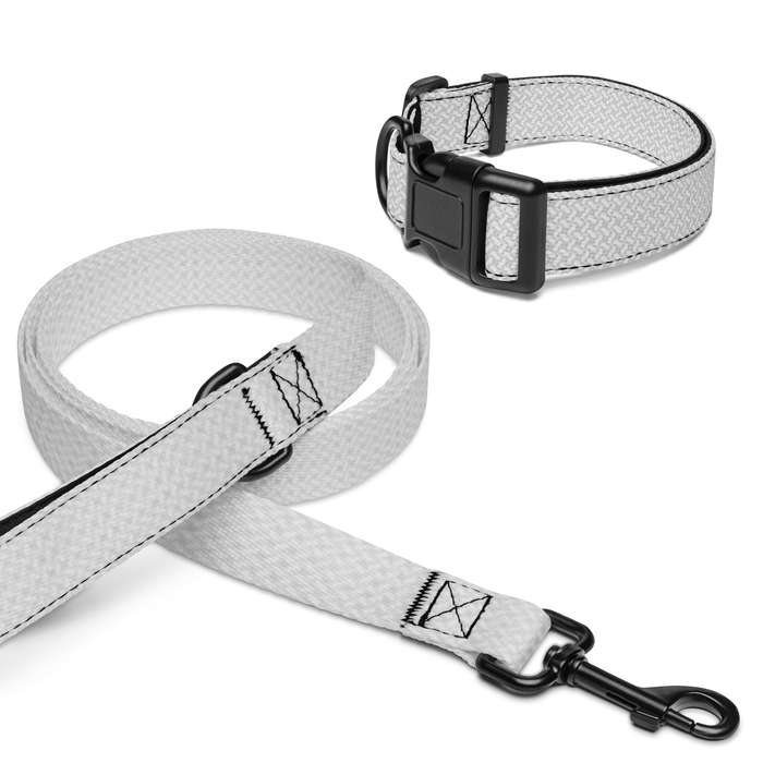 Pet collar & leash