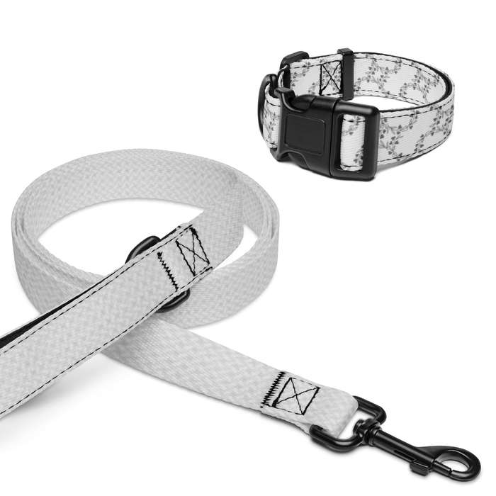 Pet collar & leash