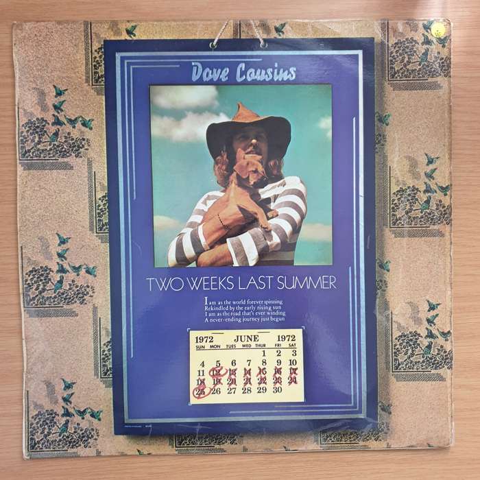 Dave Cousins  Two Weeks Last Summer - Vinyl LP Record - Very-Good Quality (VG) (verry)