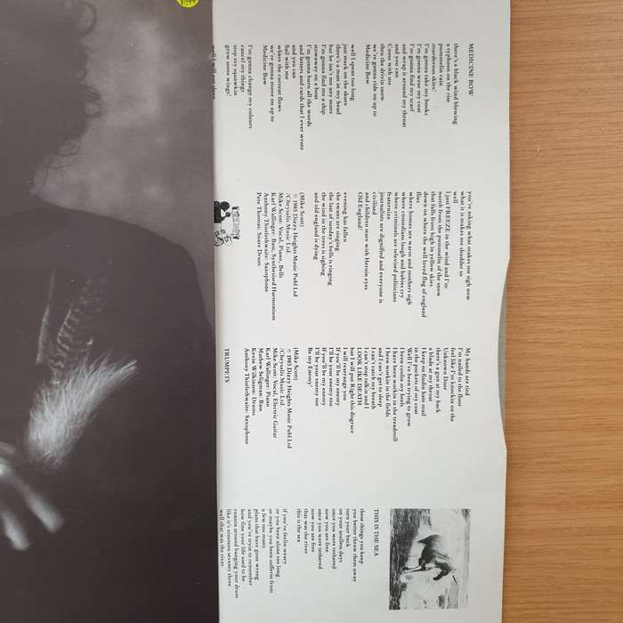 The Waterboys  This Is The Sea (with Lyrics inner) - Vinyl LP Record - Very-Good+ Quality (VG+...