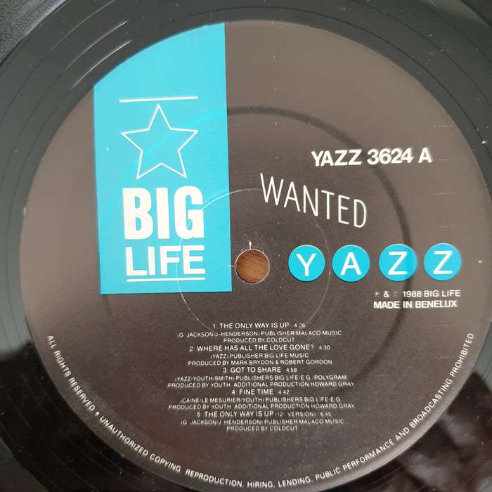 Yazz  Wanted   Vinyl LP Record - Very-Good+ Quality (VG+)