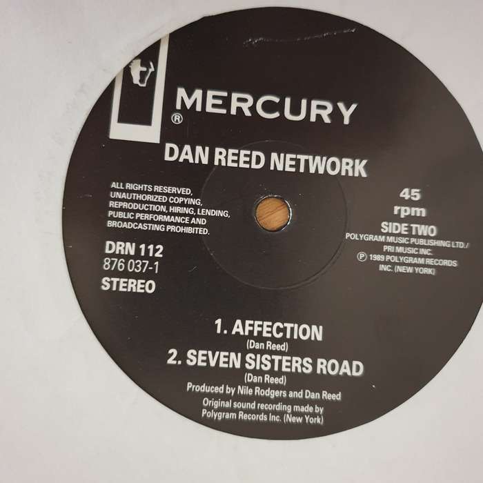 Dan Reed Network  Tiger In A Dress - Vinyl LP Record - Very-Good+ Quality (VG+) (verygoodplus)