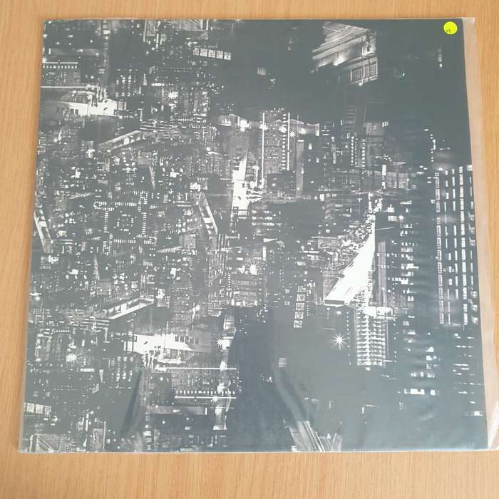 Kyle Shepherd  After the Night the Day Will Surely Come - Vinyl LP Record - Very-Good+ Quality...