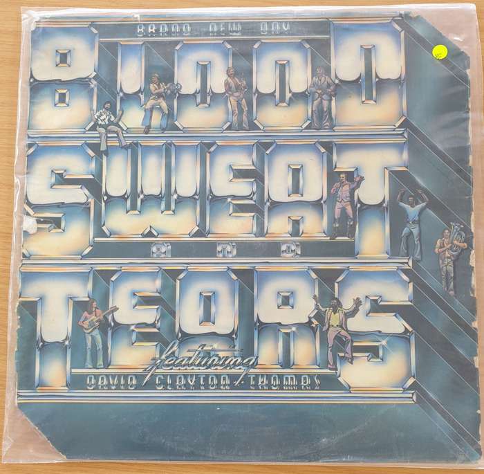 Blood, Sweat And Tears  Brand New Day -  Vinyl LP Record (VG)