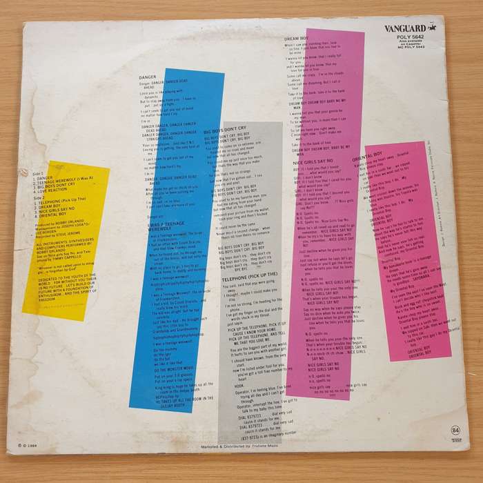The Flirts  Born To Flirt - Vinyl LP Record (VG+)
