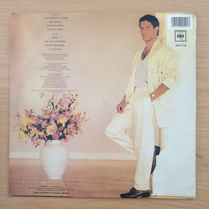 Gregory Abbott  Shake You Down   Vinyl LP Record (VG+)