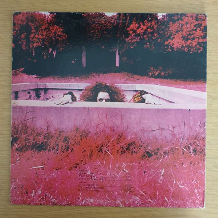 Frank Zappa  Hot Rats - Vinyl LP Record  (VG-)