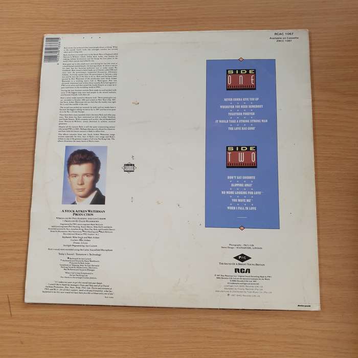 Rick Astley  Whenever You Need Somebody - Vinyl LP Record (VG+)