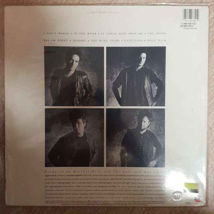 The Call  Into The Woods  - Vinyl LP Record - Very-Good+ Quality (VG+)