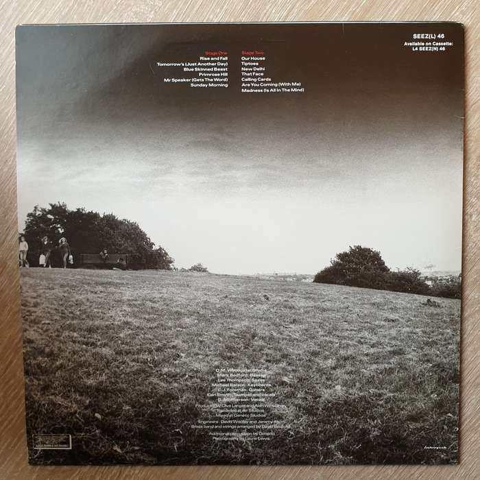 Madness  The Rise & Fall - Vinyl LP Record - Opened  - Very-Good+ Quality (VG+)