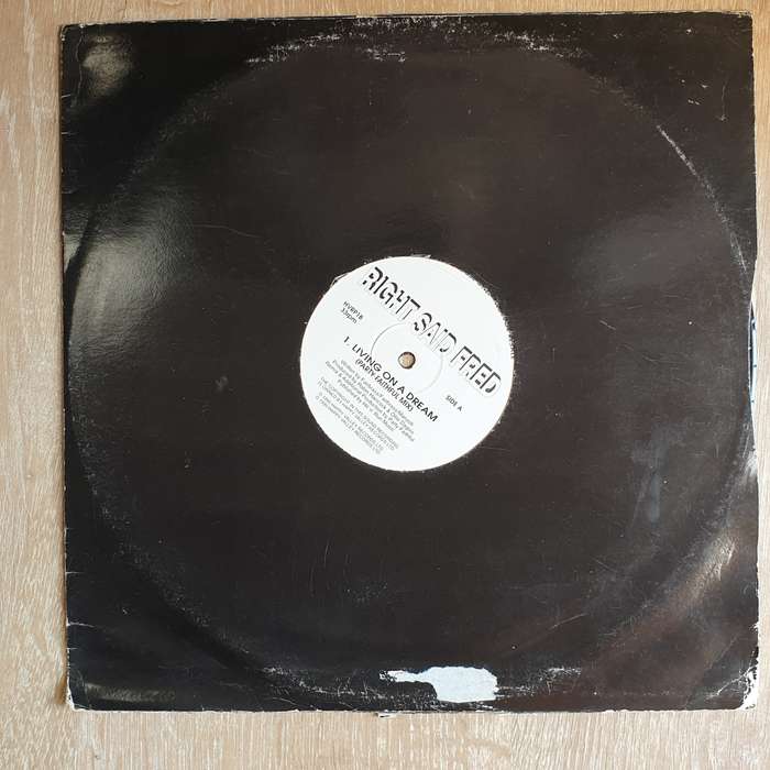 Right Said Fred  Living On A Dream - Vinyl LP Record - Very-Good+ Quality (VG+)