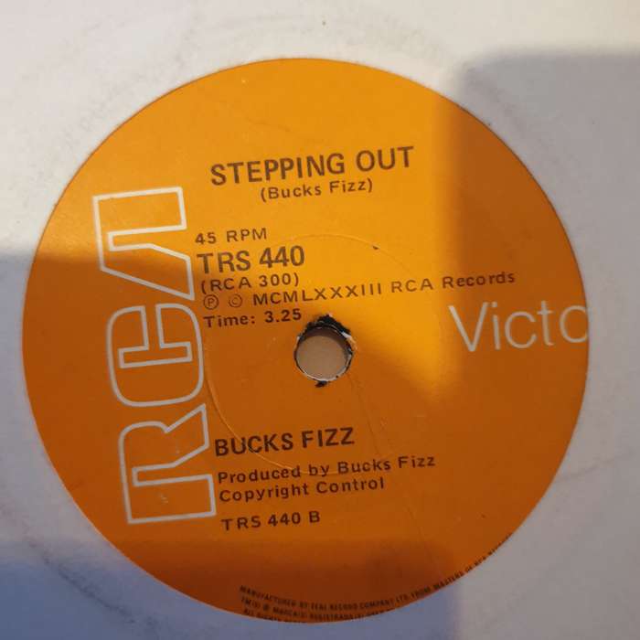 Bucks Fizz  If You Can't Stand The Heat - Vinyl 7" Record - Very-Good- Quality (VG-)