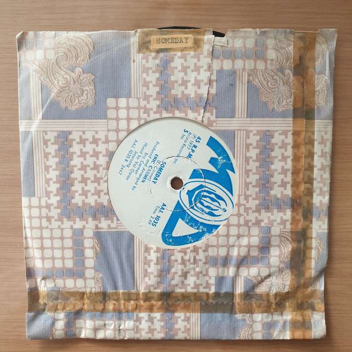Eric Carmen  She Did It (Rhodesia) - Vinyl 7" Record - Very-Good+ Quality (VG+) (verygoodplus)