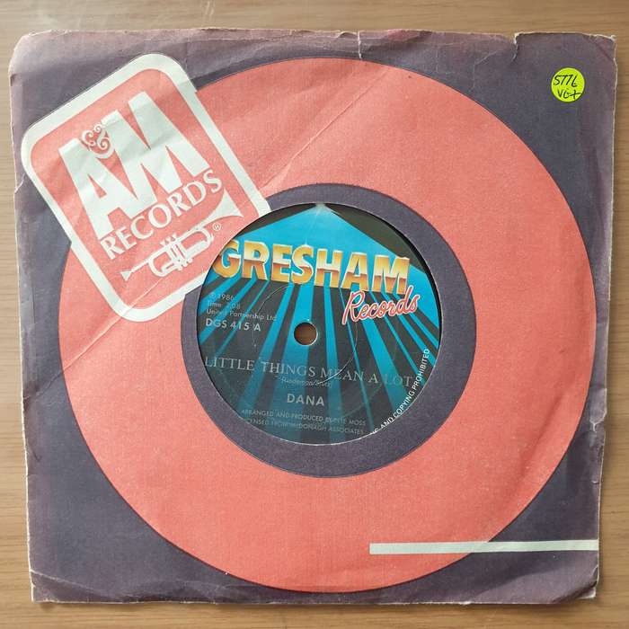 Dana   Little Things Mean A Lot - Vinyl 7" Record - Very-Good+ Quality (VG+) (verygoodplus)