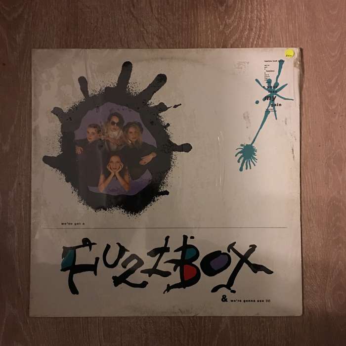 We've Got a Fuzzbox & We're Gonna Use It-  Vinyl LP Record - New Sealed